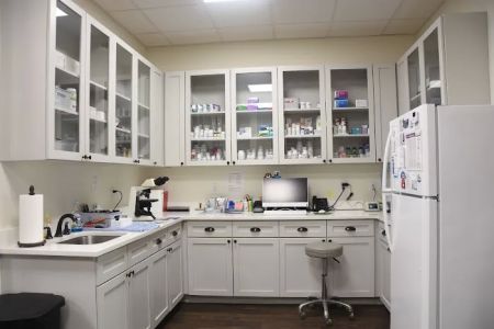 Sea Oats Animal Hospital
