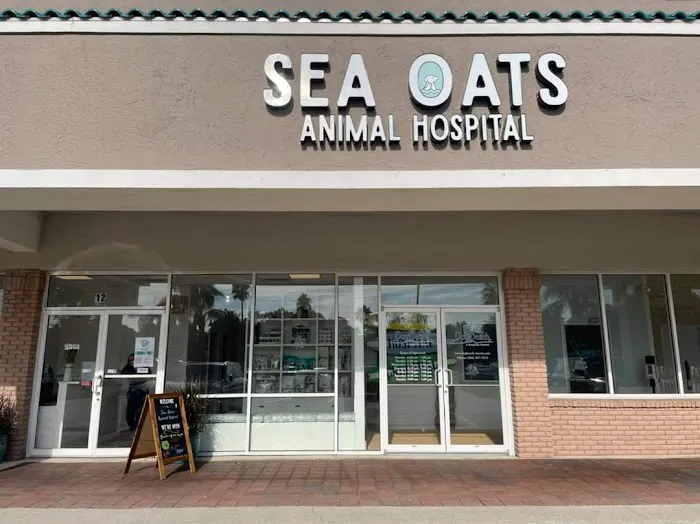 Sea Oats Animal Hospital 12