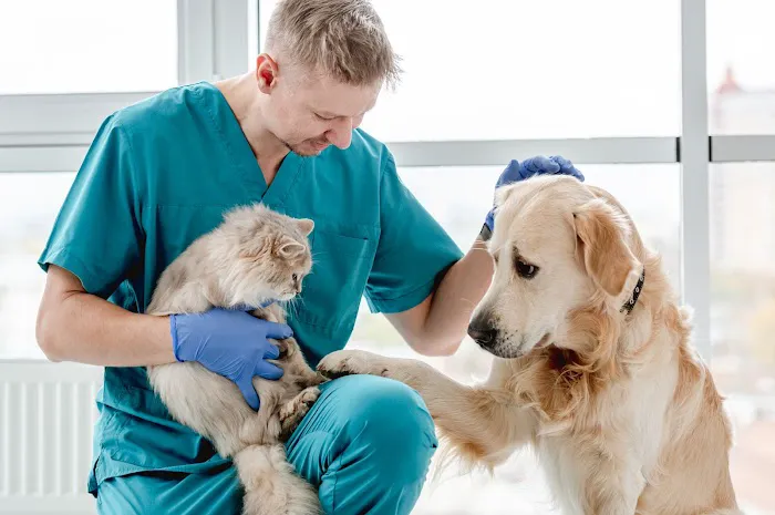 Southern Hills Animal Hospital 5