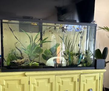 Petco