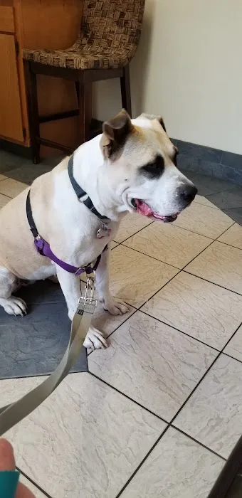 Brambleton Veterinary Hospital 7