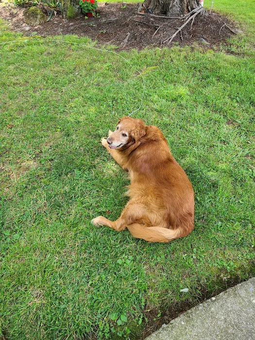 Brambleton Veterinary Hospital 2