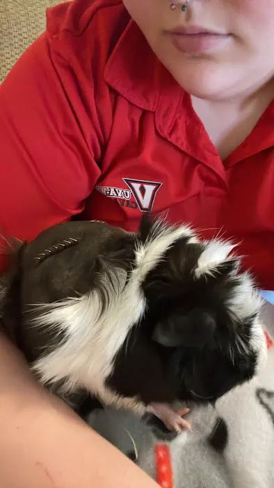 Avian and Exotic Pet Clinic of Roanoke 5