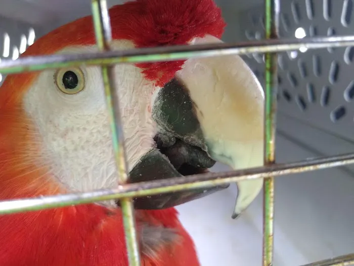 Avian and Exotic Pet Clinic of Roanoke 2