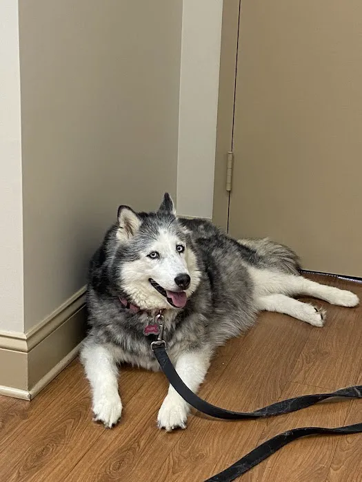 Cave Spring Veterinary Clinic 5