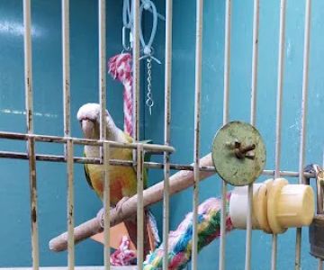 Atlas Pet Supply