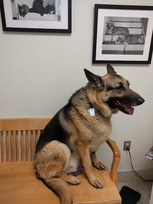 Pet Vet – Roanoke 9