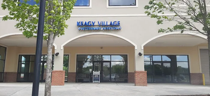 Keagy Village Veterinary Hospital 2