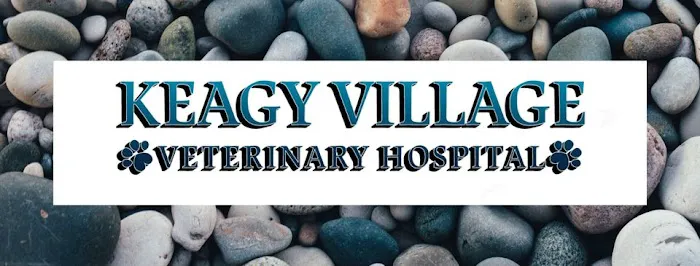 Keagy Village Veterinary Hospital 6