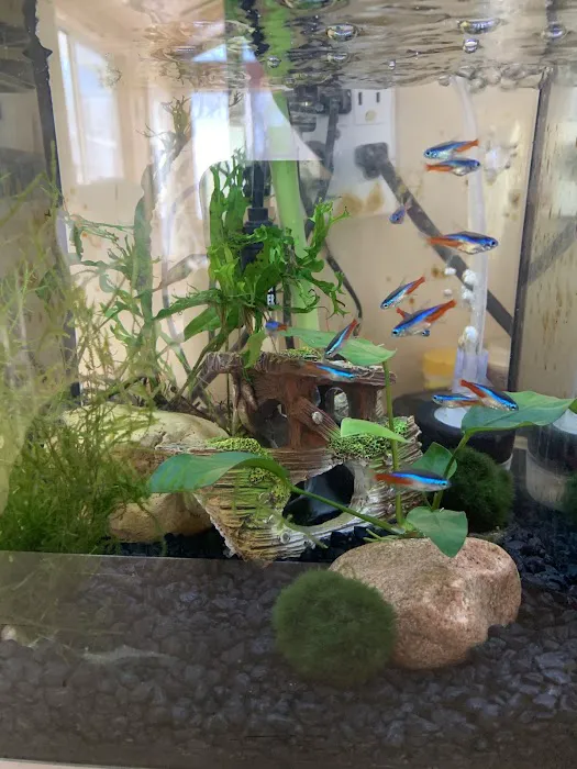Sea Level 9