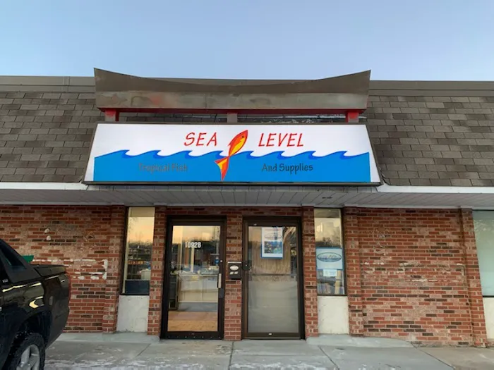 Sea Level 7