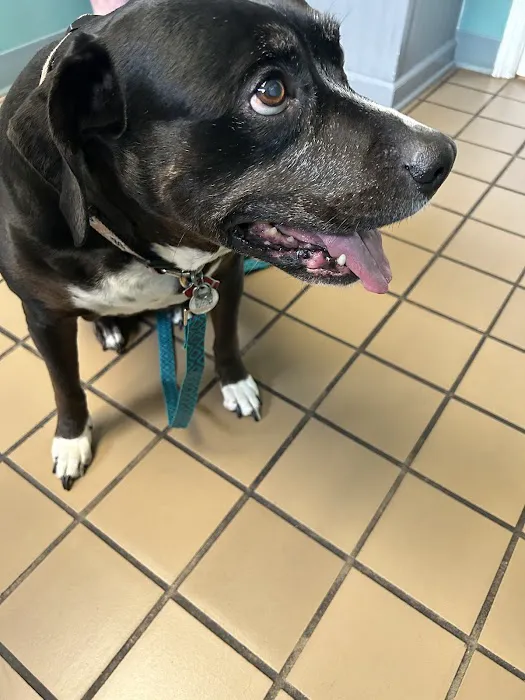 Vinton Veterinary Hospital Wellness Center 6