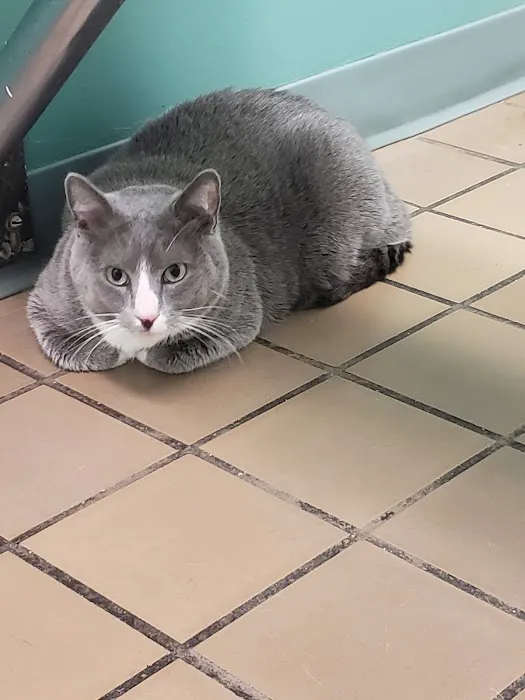 Vinton Veterinary Hospital Wellness Center 2