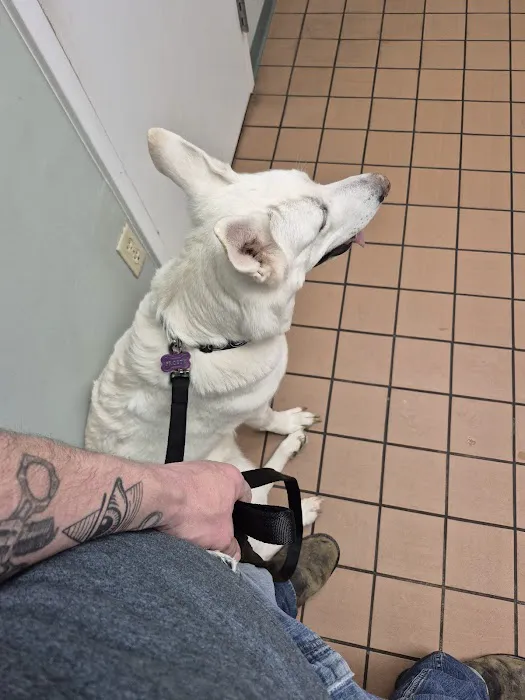 Vinton Veterinary Hospital Wellness Center 4