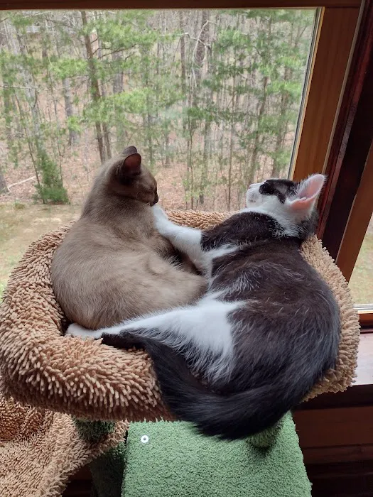 Salem Animal Hospital 4