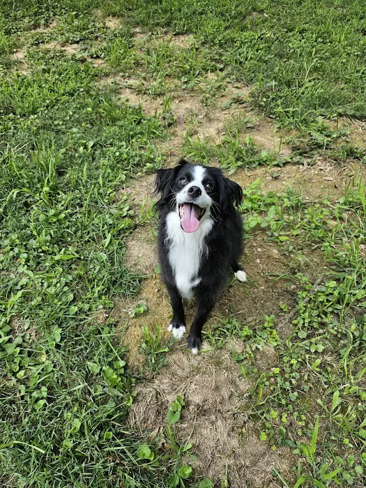 Salem Animal Hospital 8