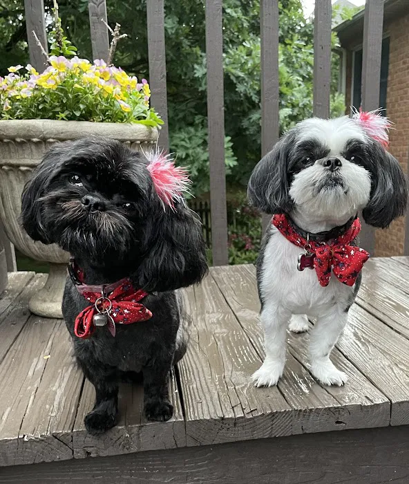 Salem Animal Hospital 6