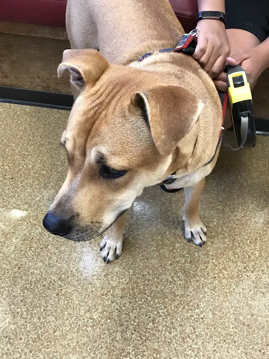 Poway Animal Hospital 2
