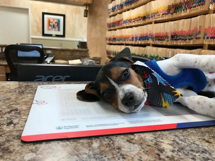 Poway Animal Hospital 7