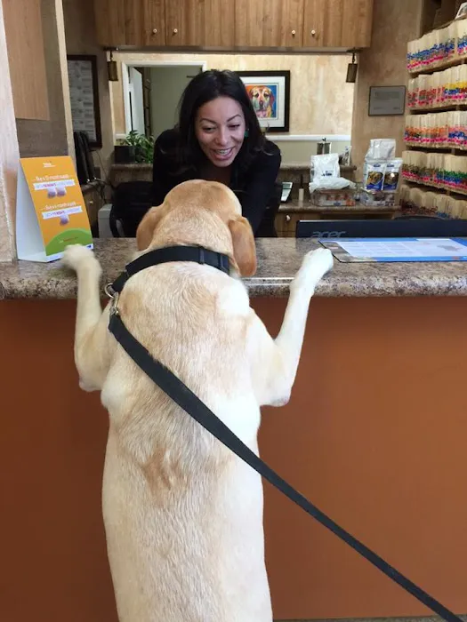 Poway Animal Hospital 8