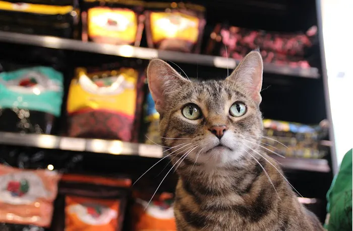 Chuck & Don's Pet Food & Supplies 12