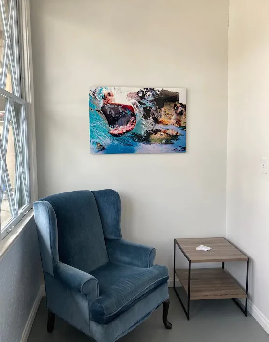 South Coast Pet Dentals, Inc. 12