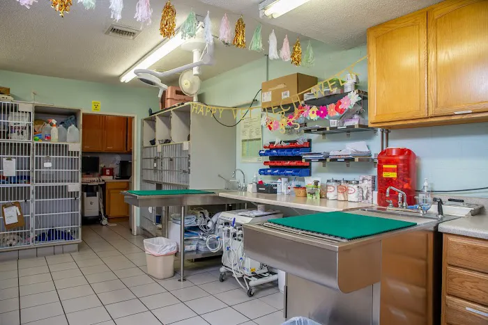 Morena Pet Hospital 12