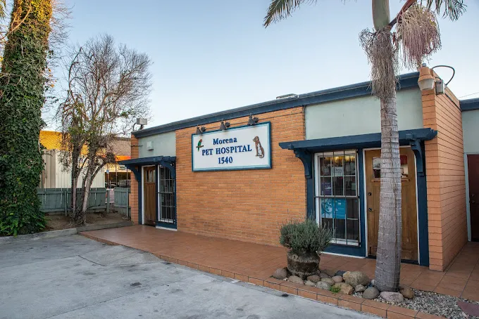 Morena Pet Hospital 12