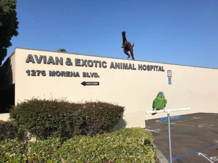 Avian & Exotic Animal Hospital, Inc. 4