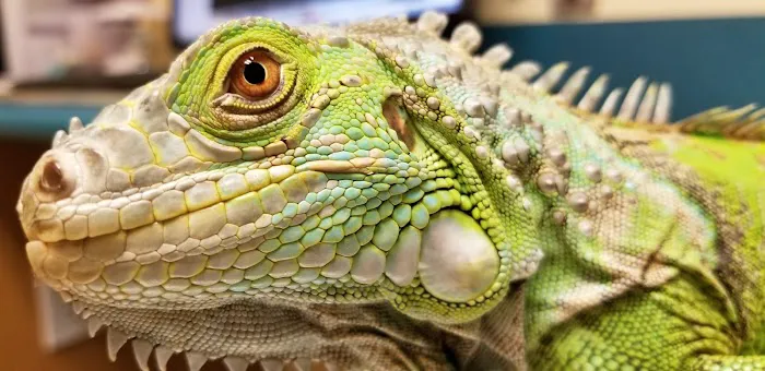 Avian & Exotic Animal Hospital, Inc. 9