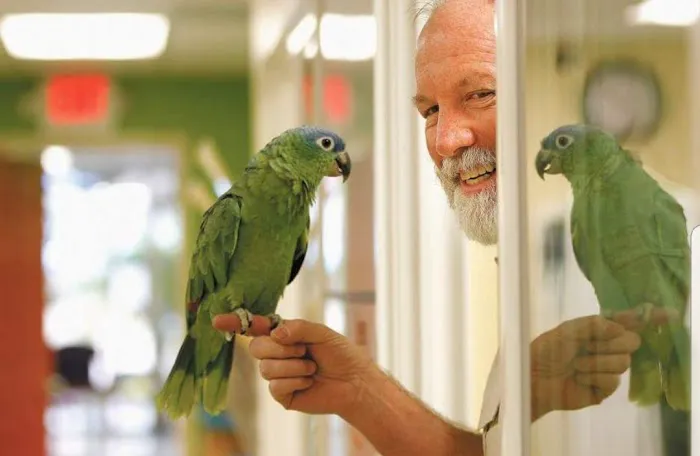 Avian & Exotic Animal Hospital, Inc. 5