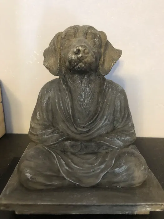 Animal Healing Center 12