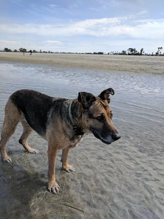 Animal Healing Center 12