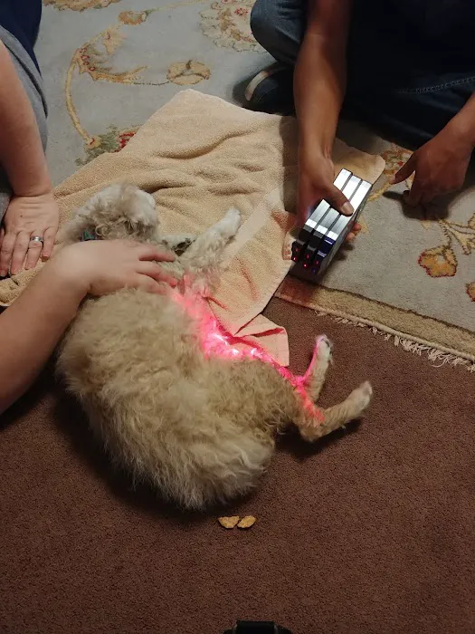 Animal Healing Center 12