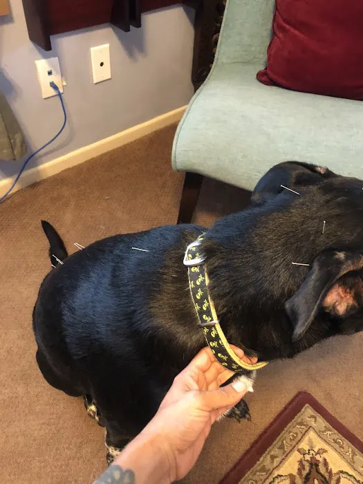 Animal Healing Center 12