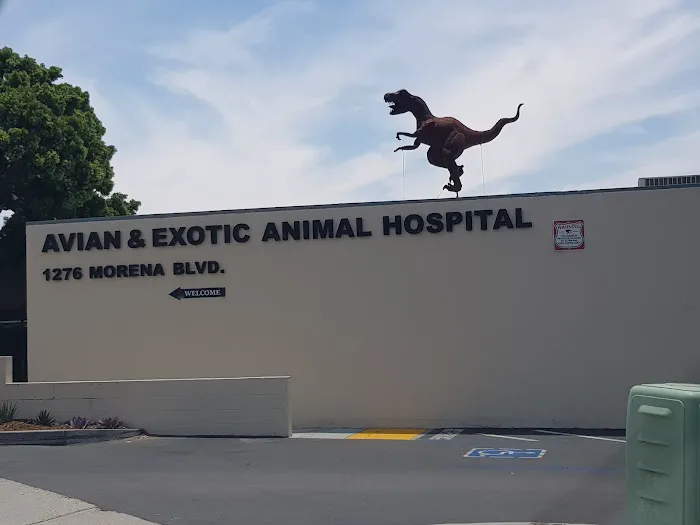 Avian & Exotic Animal Hospital, Jeffrey R. Jenkins, DVM 12