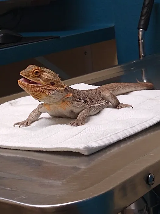 Avian & Exotic Animal Hospital, Jeffrey R. Jenkins, DVM 12