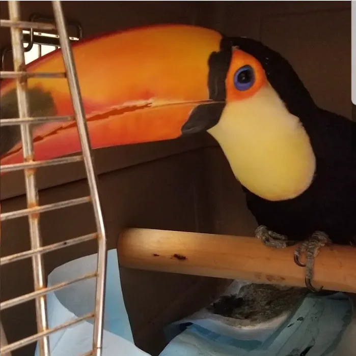 Avian & Exotic Animal Hospital, Jeffrey R. Jenkins, DVM 12