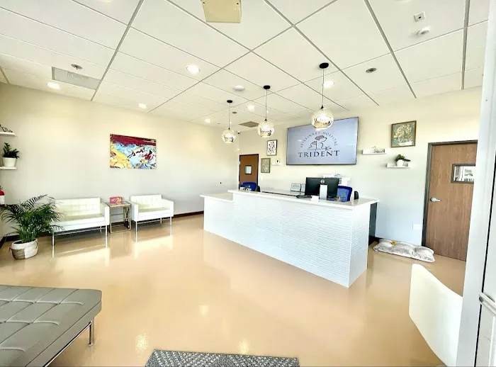 Trident Veterinary Hospital 12