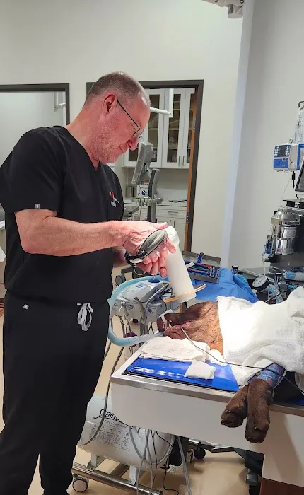 Trident Veterinary Hospital 12