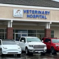 Trident Veterinary Hospital ico