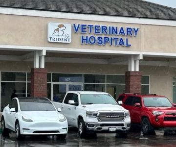 Trident Veterinary Hospital