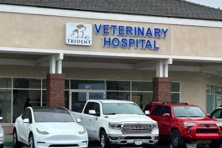 Trident Veterinary Hospital