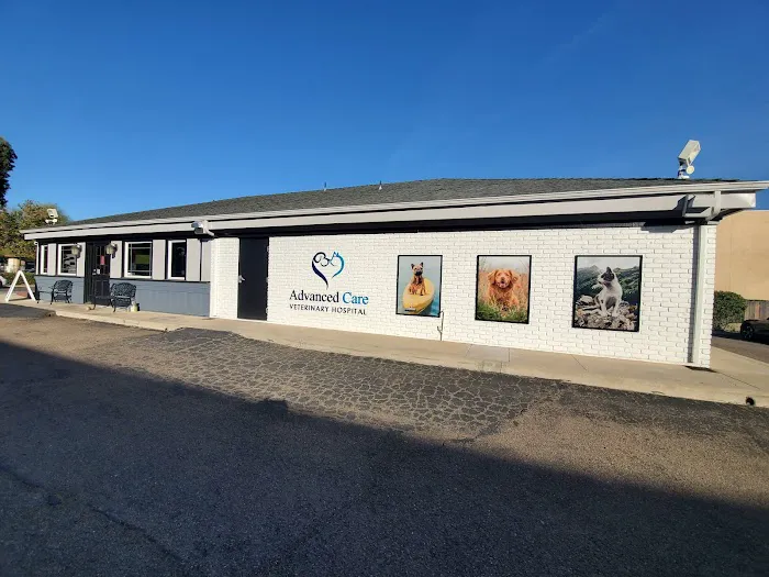 Advanced Care Veterinary Hospital 12