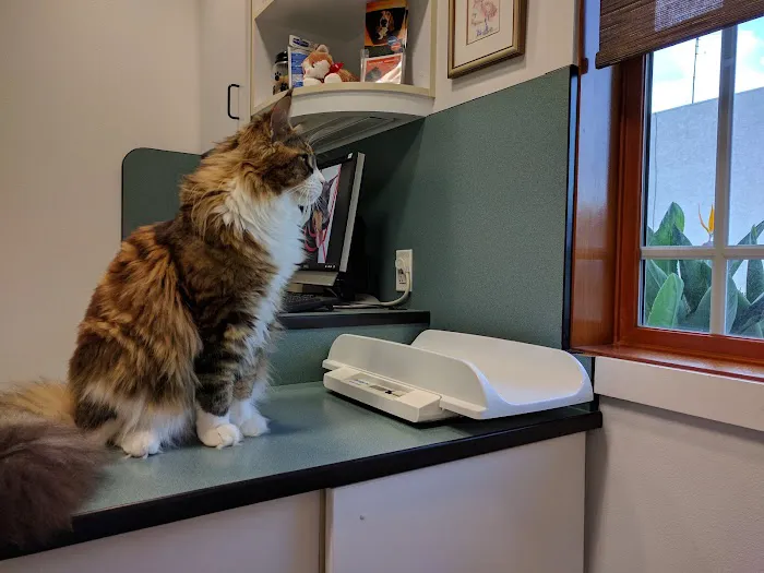 Advanced Care Veterinary Hospital 12