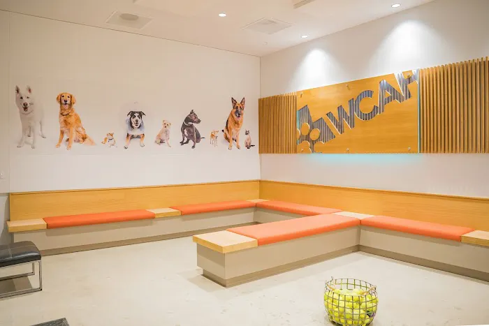West Coast Animal Hospital 12