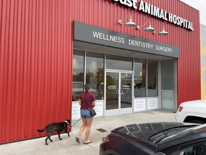 West Coast Animal Hospital 12