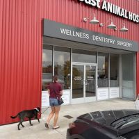 West Coast Animal Hospital ico