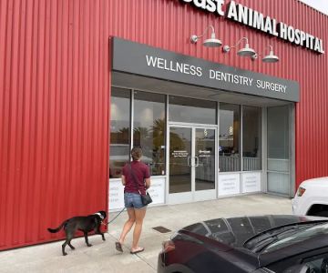 West Coast Animal Hospital