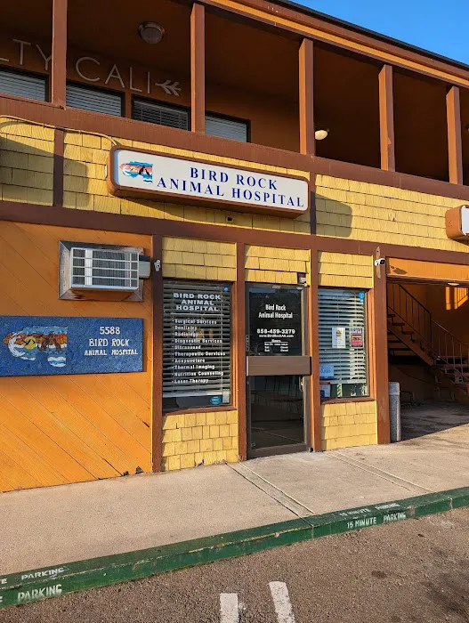 Bird Rock Animal Hospital 12